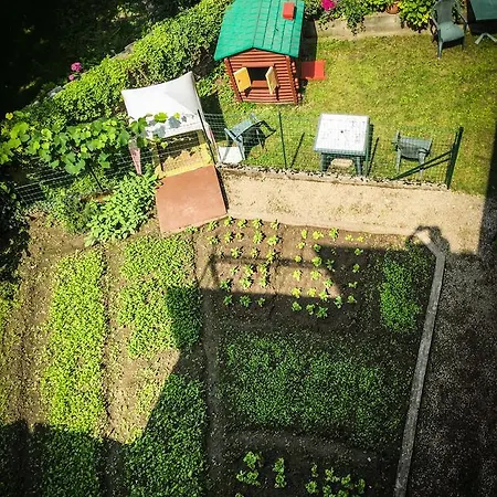 La Pace Отель Pradleves